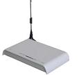 GSM/PSTN Fixed Wireless Terminal with LCR
