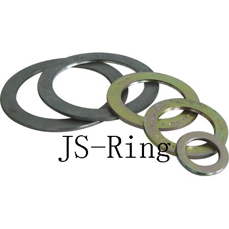 Ring for Spiral Wound Gasket