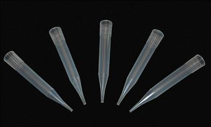 Pipette Tips