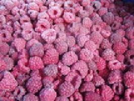 frozen Red Raspberry