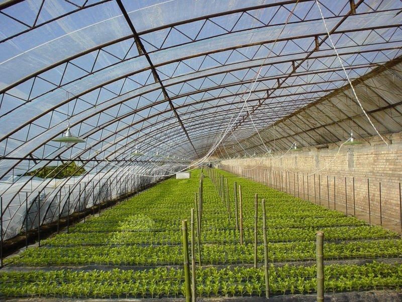 the Cheapest Agricultural Plastic Greenhouse Film