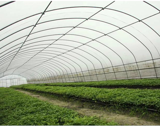  the Cheapest Agricultural Plastic Greenhouse Film