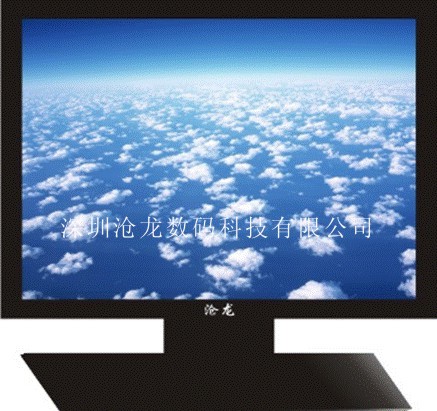 SunLoon 17-inch LCD Monitor