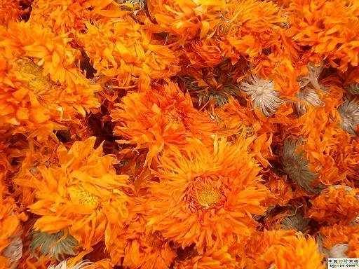 calendula flower