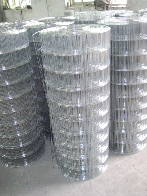 PVC (Galvanzied) welded wire mesh