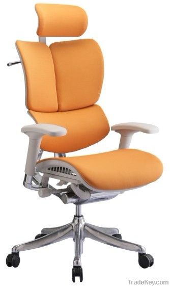 Stylish Ergonomic Office Chair