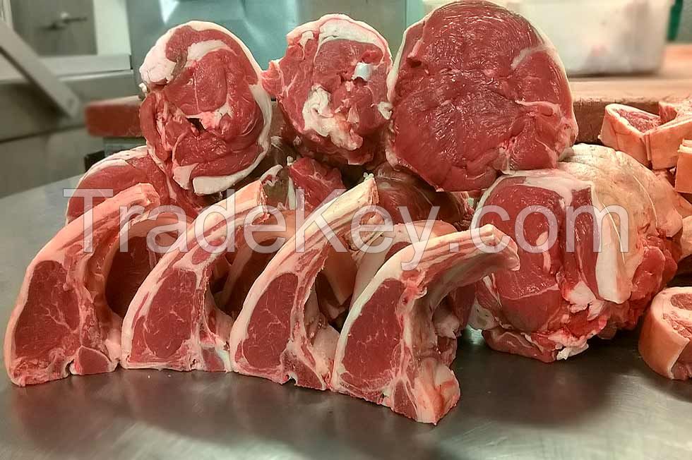 Lamb Carcass meat