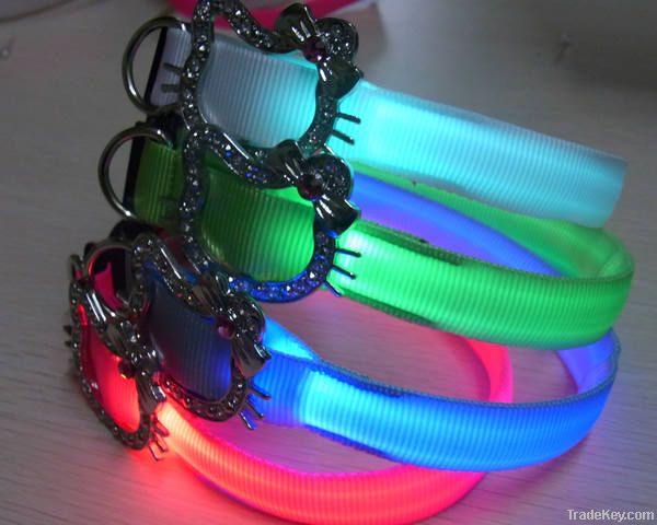 LED dog collar and leads