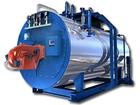Fuel (gas) steam boiler