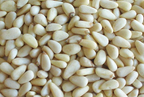 Pine nut Kernels 500-750