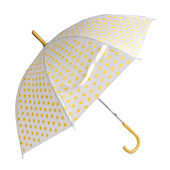 Wholesale EVA umbrella