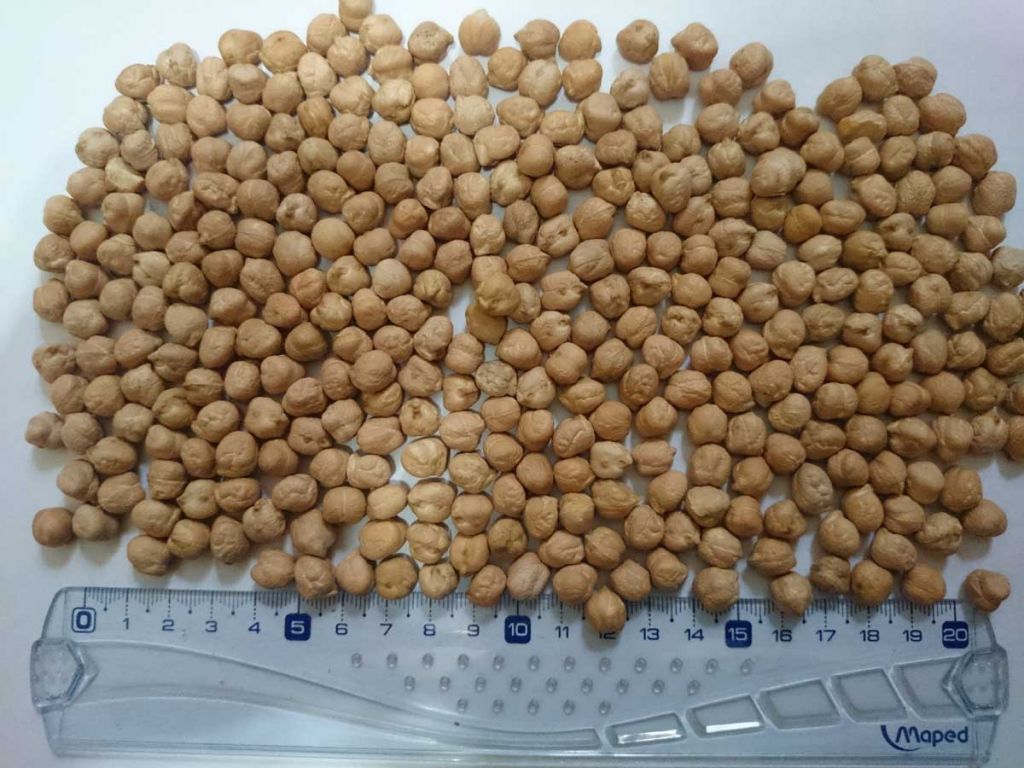 Mung beans, green and yellow peas, chickpeas from Argentina