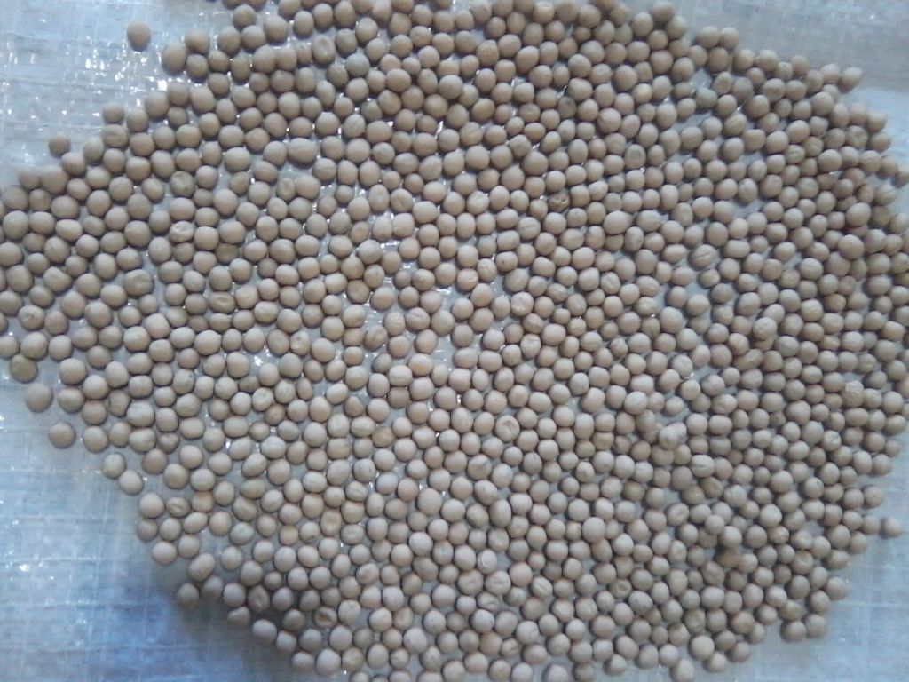 Mung beans, green and yellow peas, chickpeas from Argentina