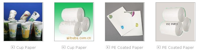 PE coated paper