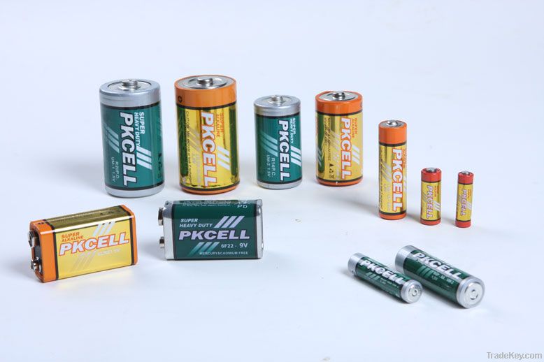 Dry battery