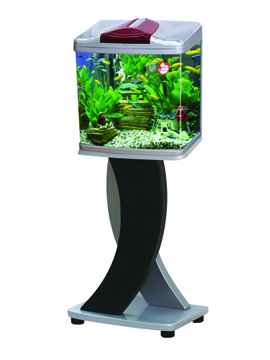 mini fish tank aquarium