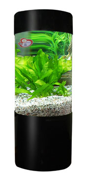 acrylic fish tank  aquarium