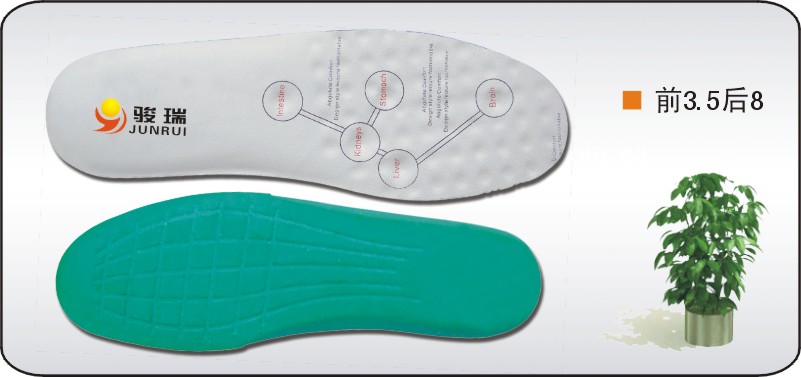 magnetic insole