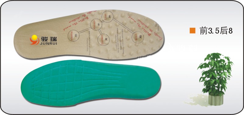 magnetic insole(2)