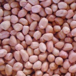 Sudanese Peanut 