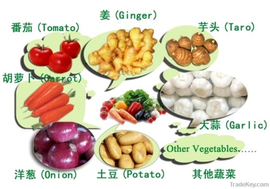 vegetables (ginger, garlic, onion, carrot, etc)