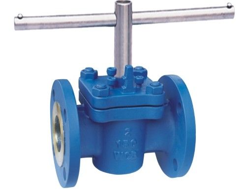 globe valve      plug valve