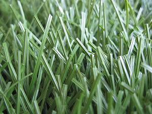 artificial grass