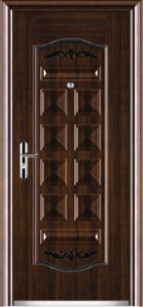 steell door
