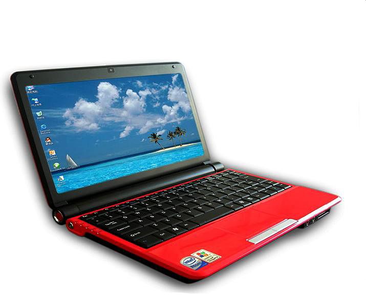 10.2 inch laptop Intel Atom D2500 dual core 1.8GHz RAM 1G /2GB/4GB HDD 160GB/250GB/320GB/500GB Mini Laptop