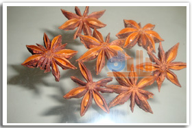 Star aniseed