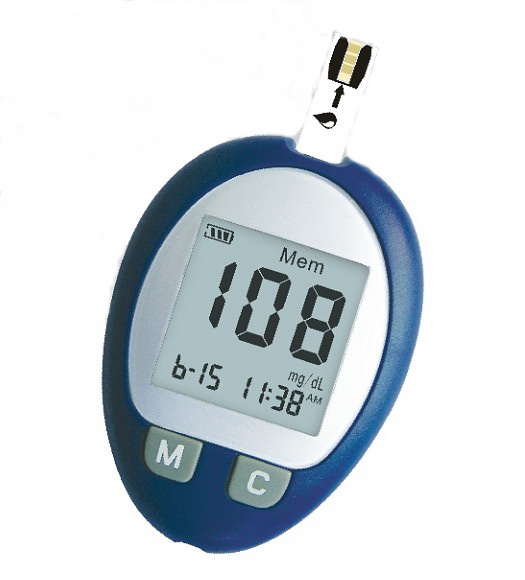 Blood glucose meter