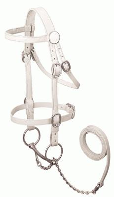 BRIDLES