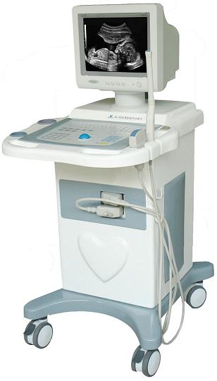 Ultrasound(B-scan)