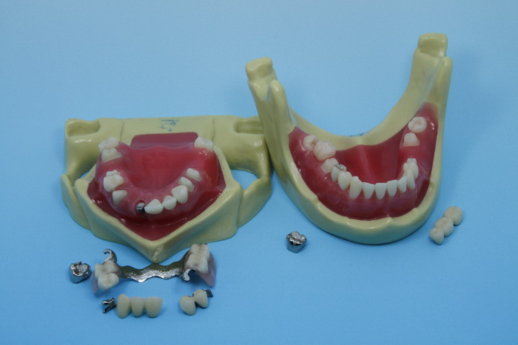 Dental cases