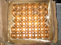 pulp molding mold, egg tray pulp molding dies