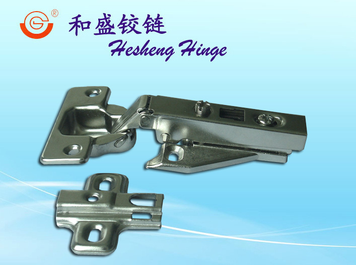 Concealed Hinge