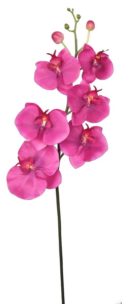 artificial orchid