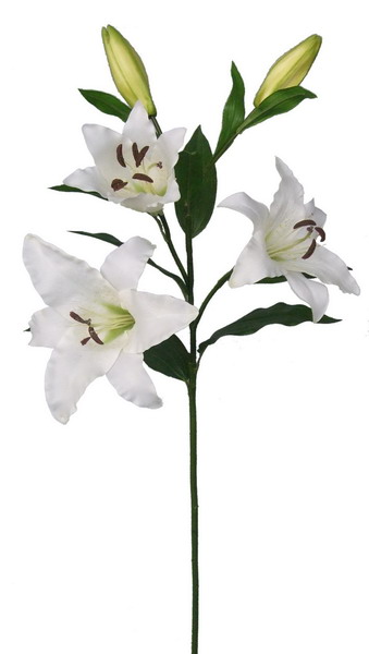 artificial lily