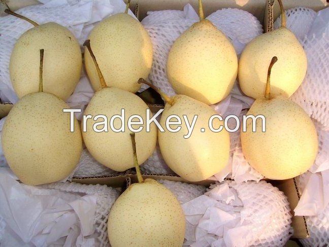 Fresh Ya-Pears