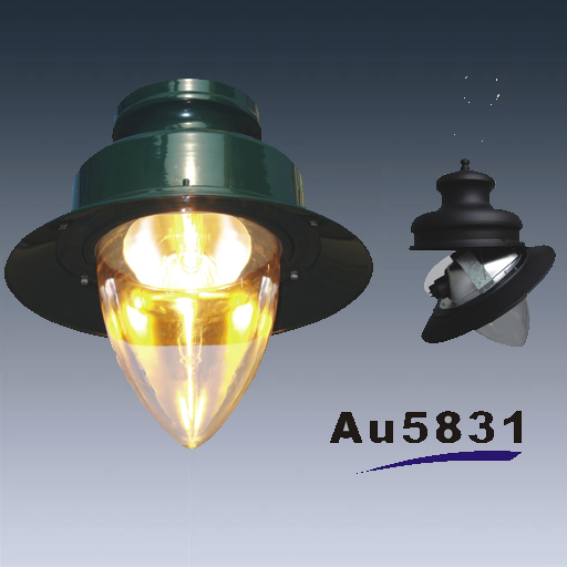 150W die casted aluminium or age copper outdoor light