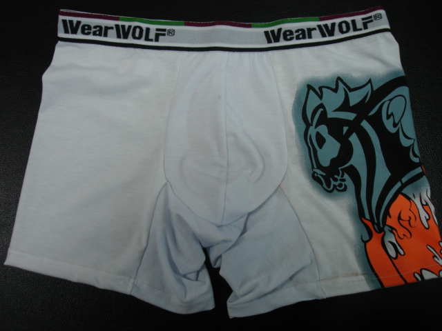 men's  underwear, boxer  short