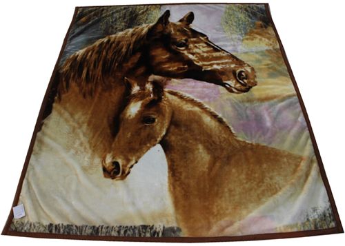 Low Price Polyester Printed Blanket