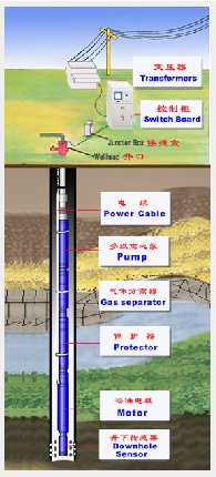 Electrical Submersible Pumps (ESP, oilfield)