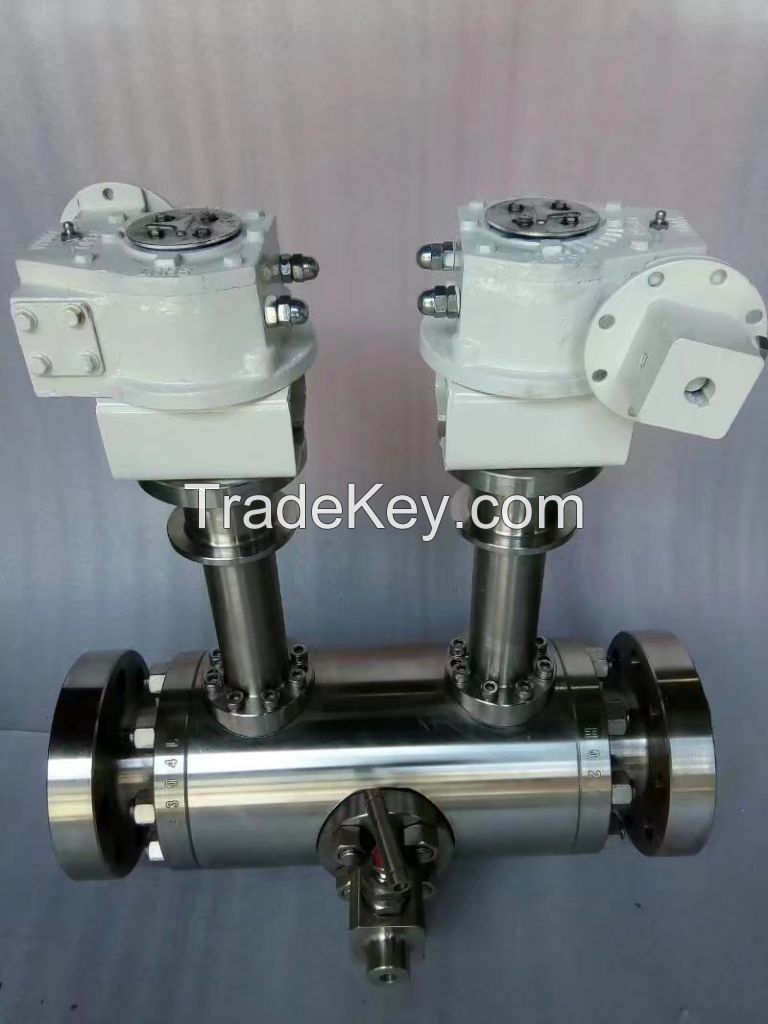 DBB Valve (trunnion mounted type)