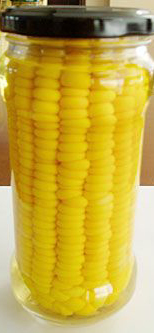 sweet  corn