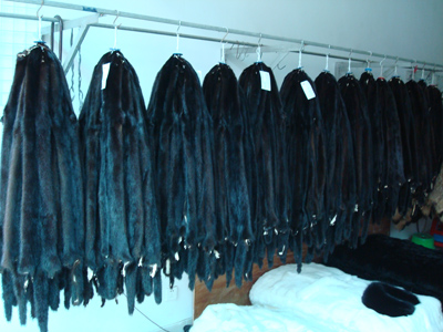 Mink Skins