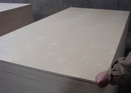 Birch Plywood