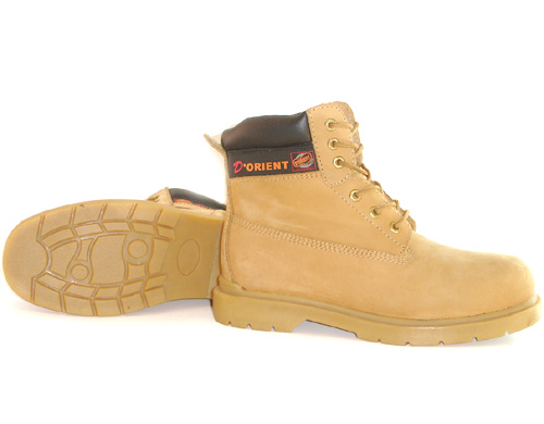 Safety Shoe D0-0025