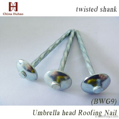Roofing nail, twisted shank, umbrella head