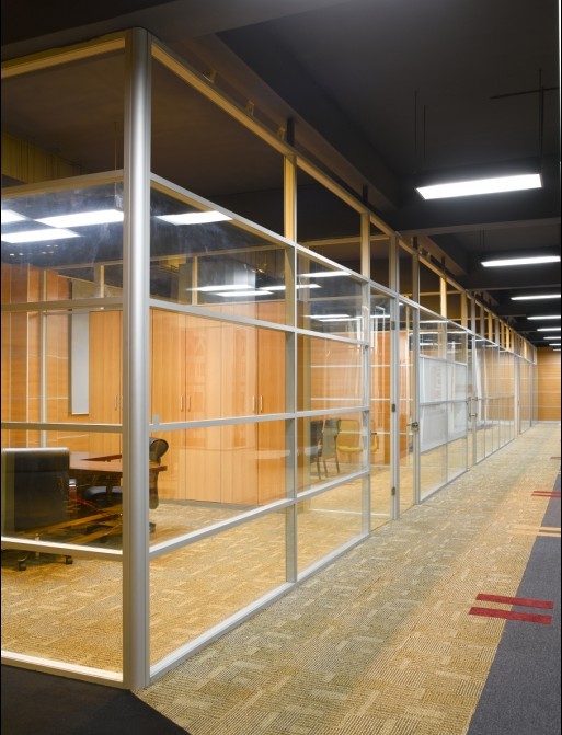 Glass wall  partition